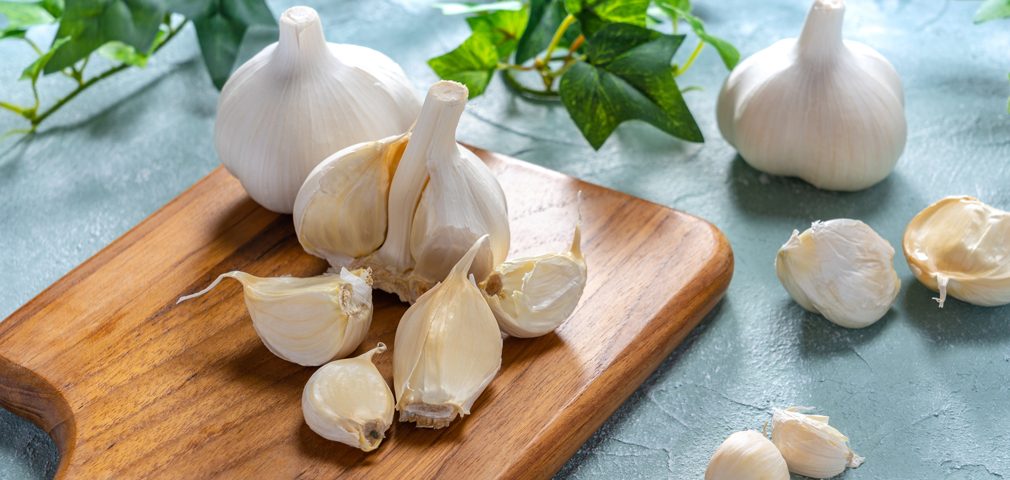 Hot Toddy Recipe – Garlic Head